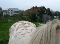 IMG_0258a.webp