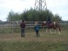 44DSC06595.jpg