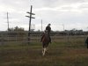 44DSC06594.jpg