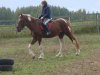 44DSC06606.jpg