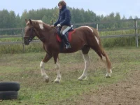 44DSC06606.webp
