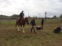 44DSC06610.webp