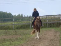 44DSC06604.webp