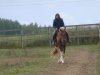 44DSC06604.jpg
