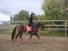 DSC06557.JPG