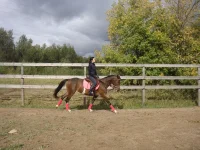 DSC06584.webp