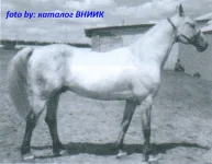 руб.webp