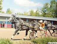 рУБИН 1991.webp