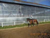 z_9128cdde.webp