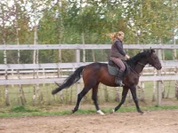 DSCF6583.webp