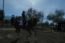 bolt 2.webp