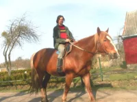 SAM_0902.webp