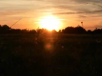 SAM_2049.webp