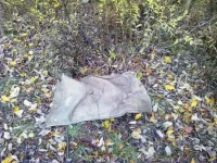 02102011133.webp