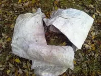 02102011134.webp