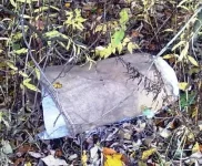 02102011139.webp