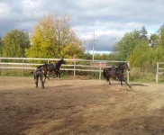 2011-09-28 16.14.44.webp