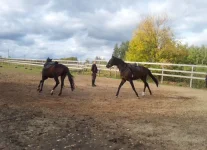 2011-09-28 16.14.24.webp