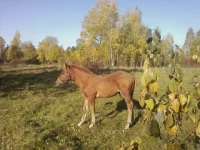 Photo-0002.webp