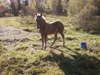 Photo-0009.webp