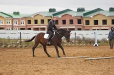 DSC05865.webp