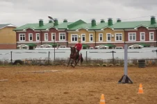 DSC05918.webp