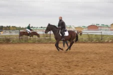 DSC05870.webp