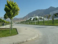 07.webp