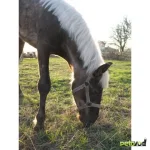 130633283920.webp