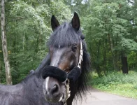 y_a878f10a.webp