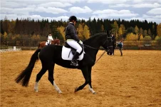 21e2f76780ee.webp