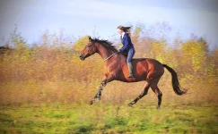 на свободе.webp