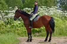 Вишня 5.webp