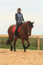 Вишня 8.webp