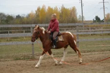 DSC00041[1].webp