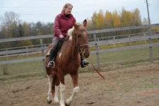 DSC00048[1].webp