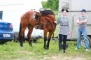 Вишня 14.webp