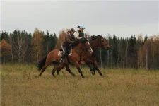 20710e8aa141.webp