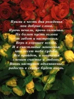 др.webp