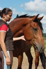 x_0d414733.webp