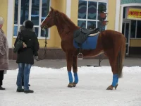 x_7159d552.webp