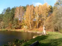 SAM_2124.webp