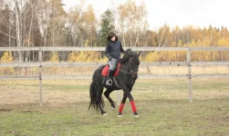 y_1a0ffcee.webp