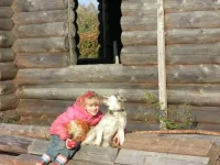 SAM_2181.webp