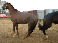 DSCN6529.webp