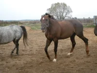 DSCN6509.webp