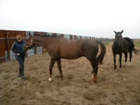 DSCN6495.webp