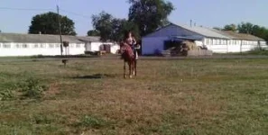 IMAG0615-1.webp