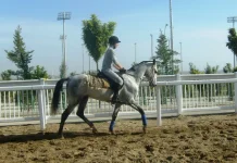S6301861-1.webp