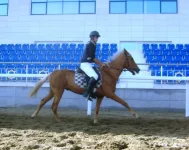 S6301870-1.webp